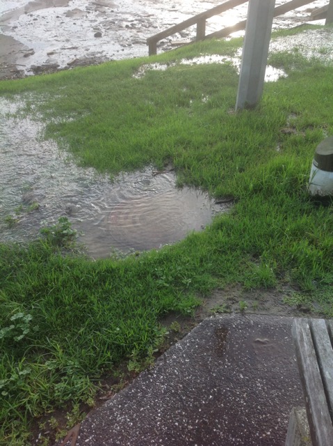 Watercare steps up on sewage leaks