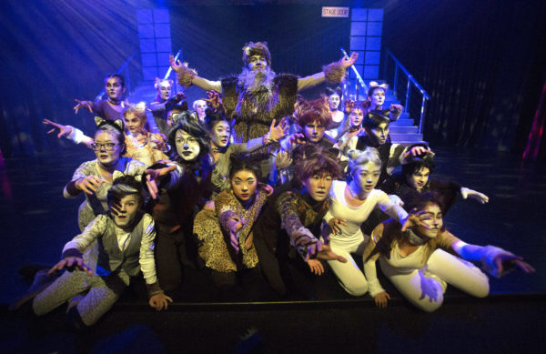 Macleans production goes all-out feline