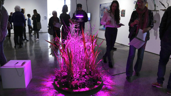 Winning estuary entry ‘unmissable’
