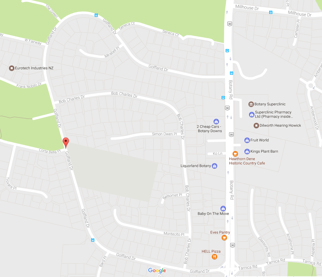 Man critically injured in Golflands accident