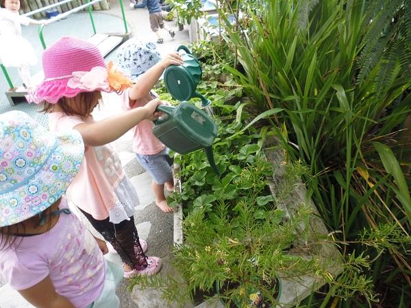 Nature-focused kindergarten to turn children’s orchard dream into reality