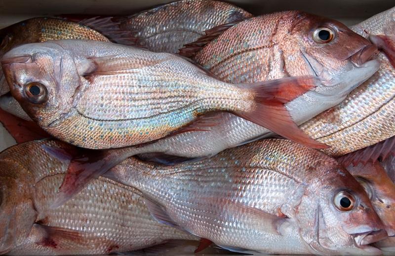 Slow jigs and soft baits