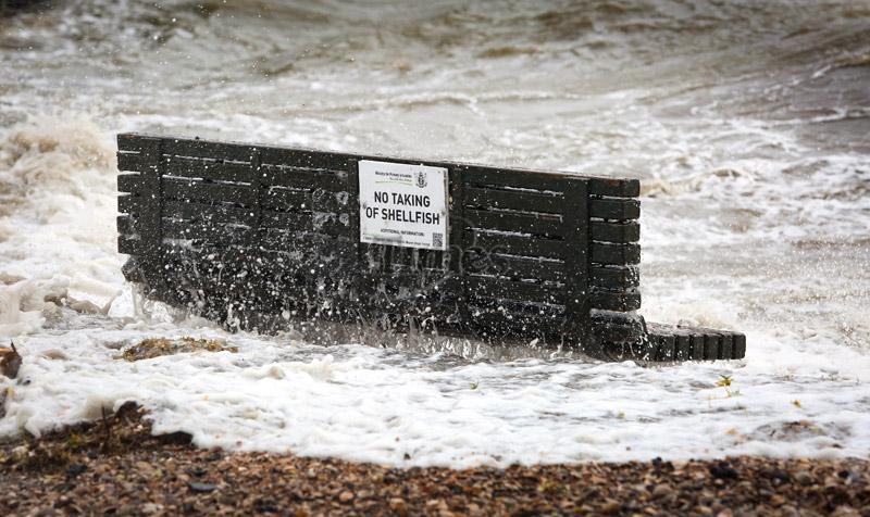 King Tide Cockle Bay0007