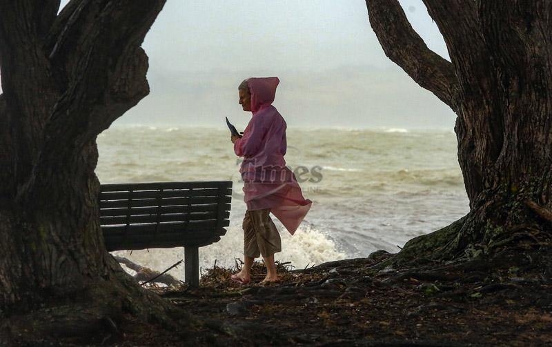 King Tide Cockle Bay0010