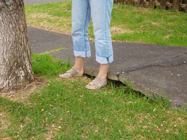 Councillors take charge of Howick ward upkeep