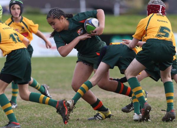 Young Aussies take Trans-Tasman Shield