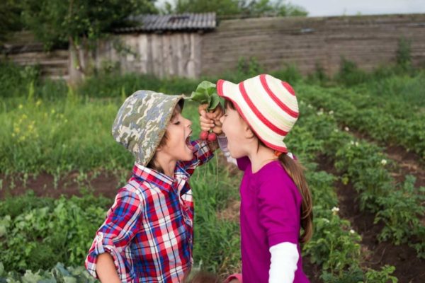 Calling all young green thumbs