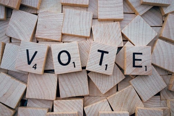 Howick Ward by-election voting opens 22 August