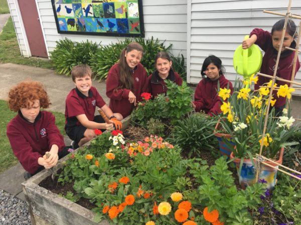 Howick Primary School needs the community’s help