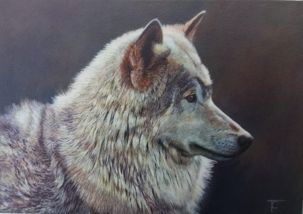 Farewell exhibition for local artist Tony Clarke