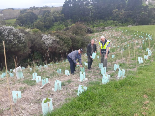 $1000 grant protects plants from harsh weather