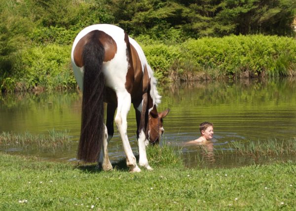 A boy and his horse win big award