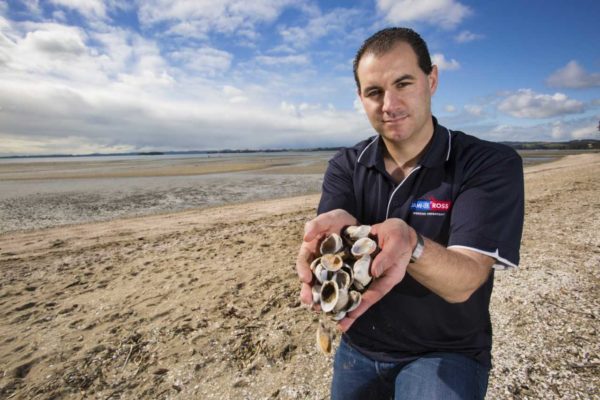 MP: It’s time to ban cockle gathering