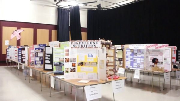 South and East Auckland Science Fair ignites young minds