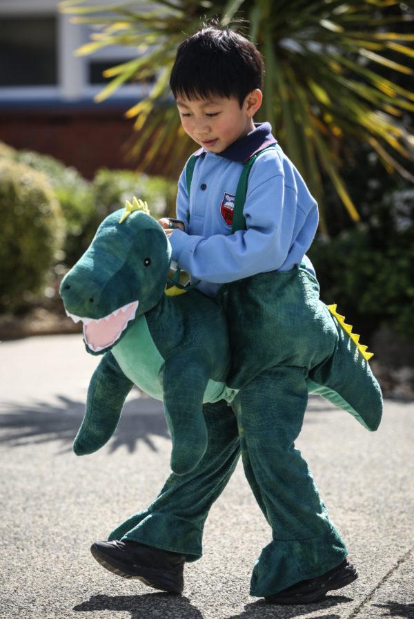The Dinosaurs’ Stomp