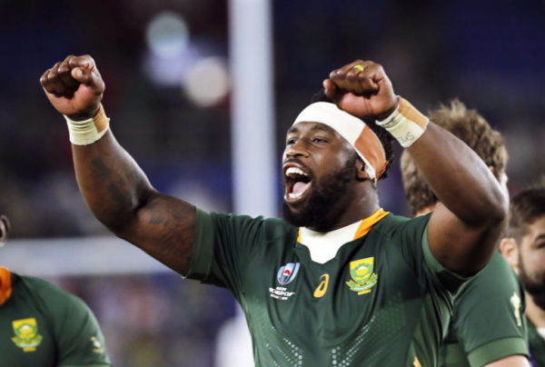 Springboks kings of world rugby jungle