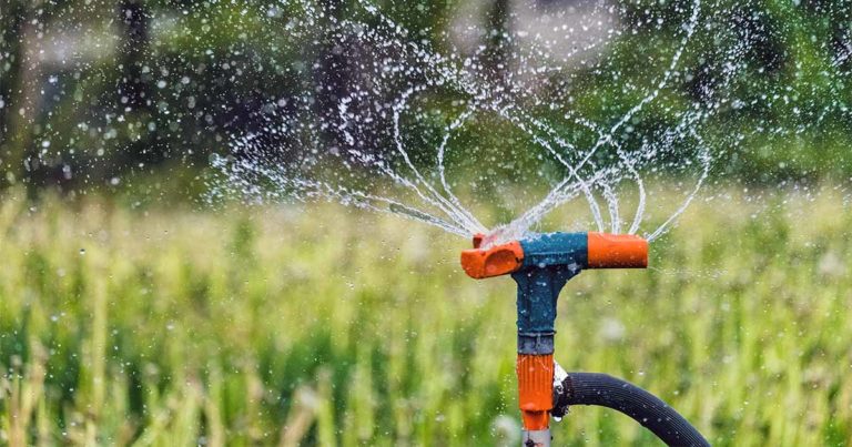 Water crisis: Tanks run dry in east Auckland