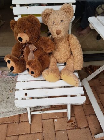 How many teddy bears have you spotted in your neighbourhood?