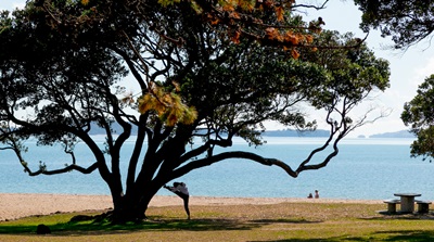 Week 2 of Lock down in pictures