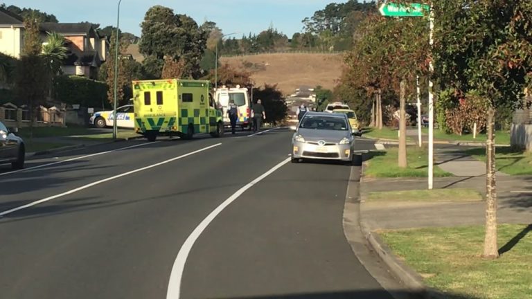 Police armed; man in custody following Flat Bush incident