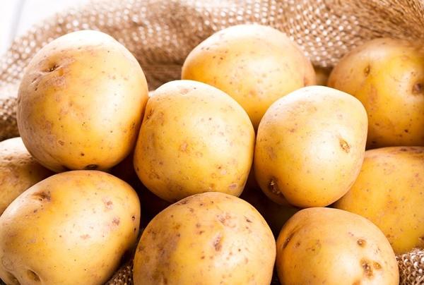 Who’s in the kitchen with Spud?