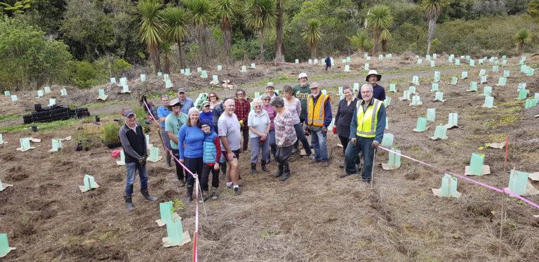 Volunteers plant 6000 trees at Mangemangeroa
