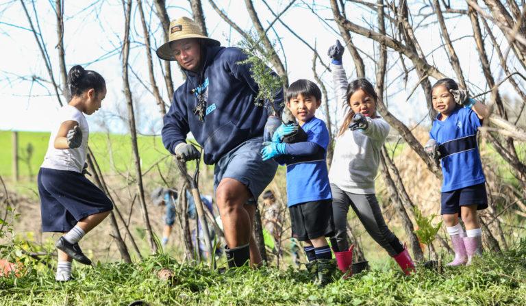 Otara Creek restoration: sowing the seeds of a greener future
