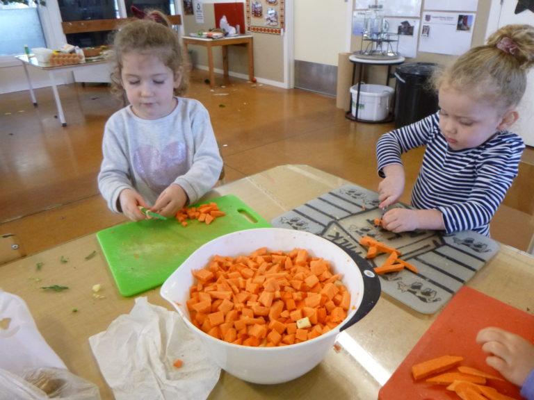 Matariki: Howick Kindergarten’s shining stars