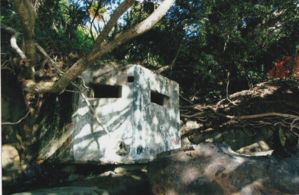 Howick’s Home Guard in World War II