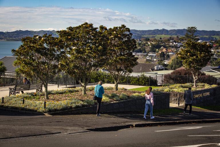 Residents’ group wanted trees removed