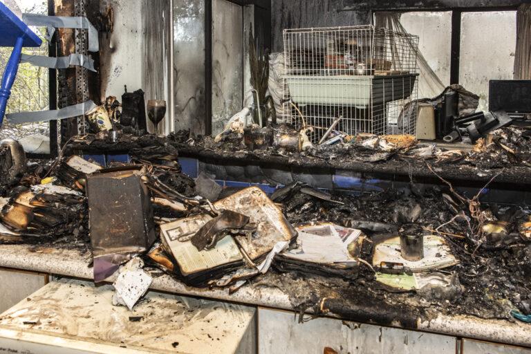 House fire kills rescued cats
