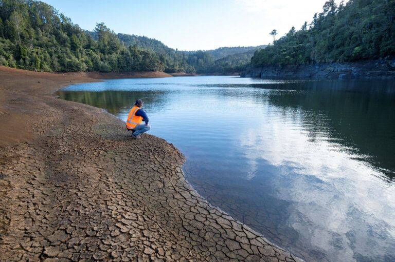Downpours in west Auckland see spike in dam levels