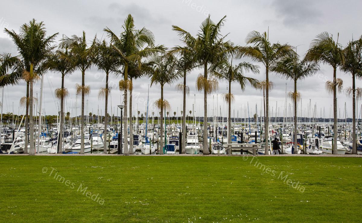 # Covid 19 # Delta # Lockdown #PineHarbour