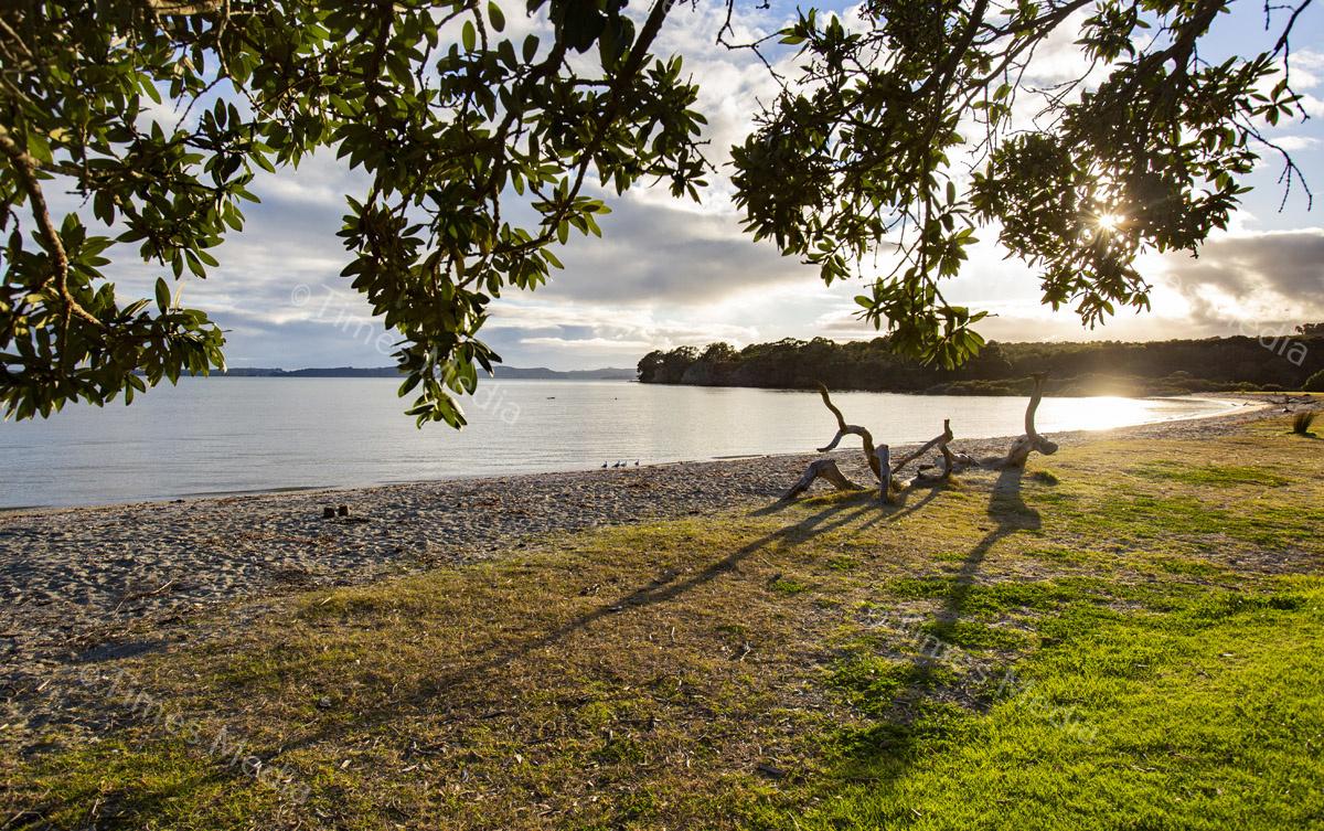 # Covid 19 # Delta # Lockdown #Beachlands #Walkway #Auckland #Playground # Kellysbeach