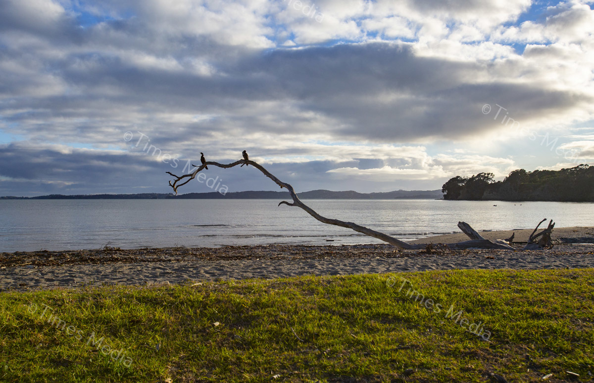 # Covid 19 # Delta # Lockdown #Beachlands #Walkway #Auckland #Playground # Kellysbeach