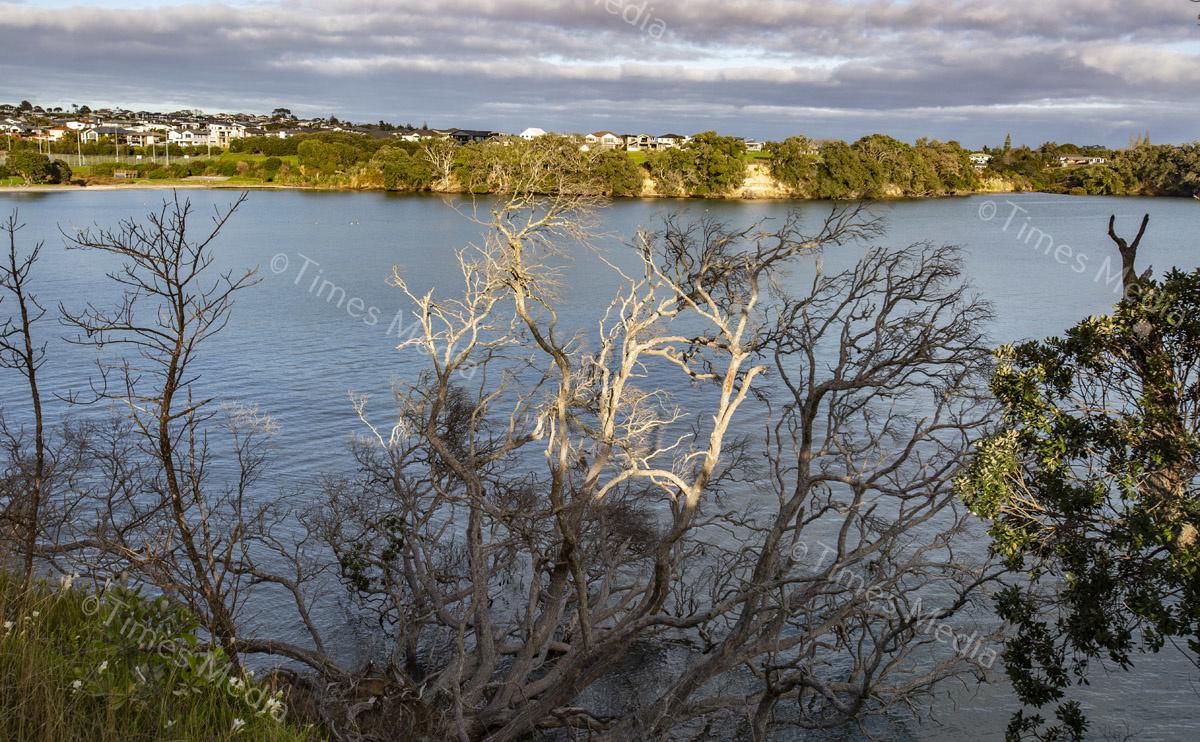 # Covid 19 # Delta # Lockdown #Beachlands #Walkway #Auckland #Playground # Kellysbeach