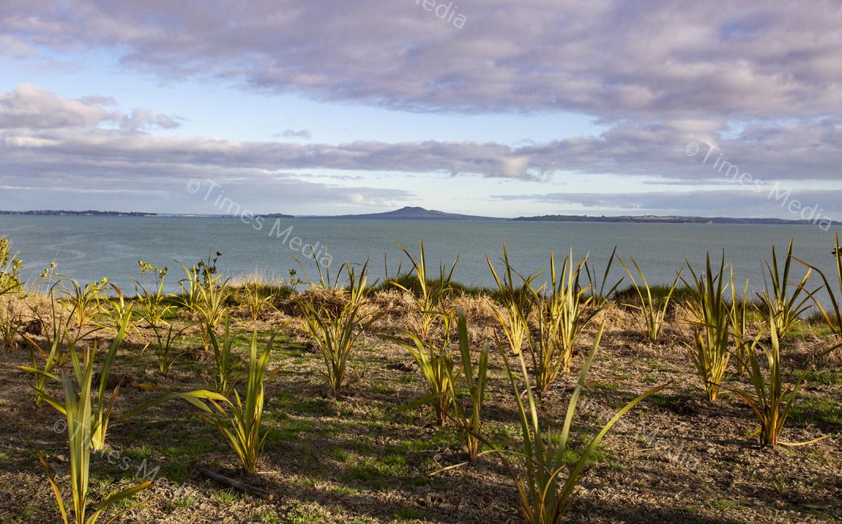 # Covid 19 # Delta # Lockdown #Beachlands