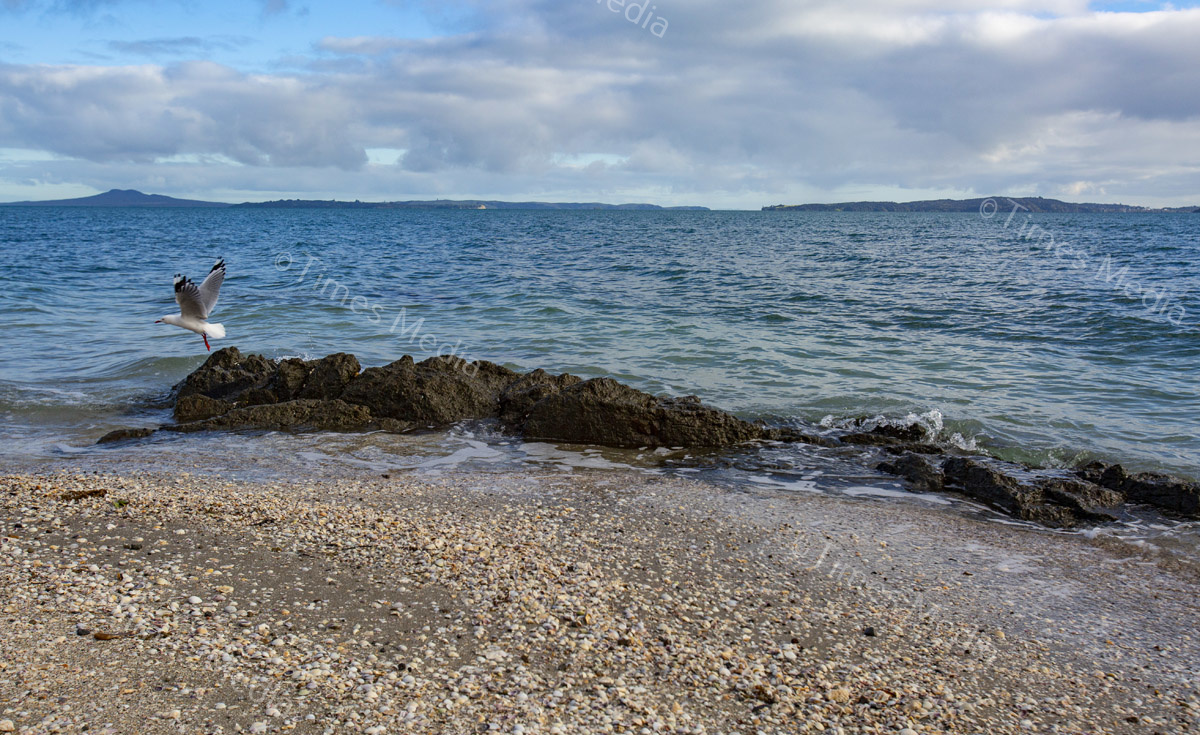 # Covid 19 # Delta # Lockdown #Beachlands #Maraetai #Walkway #Auckland