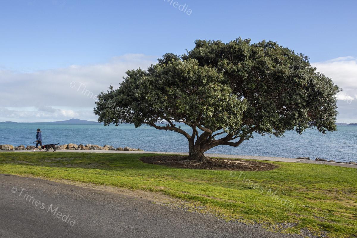 # Covid 19 # Delta # Lockdown #Beachlands #Maraetai #Walkway #Auckland