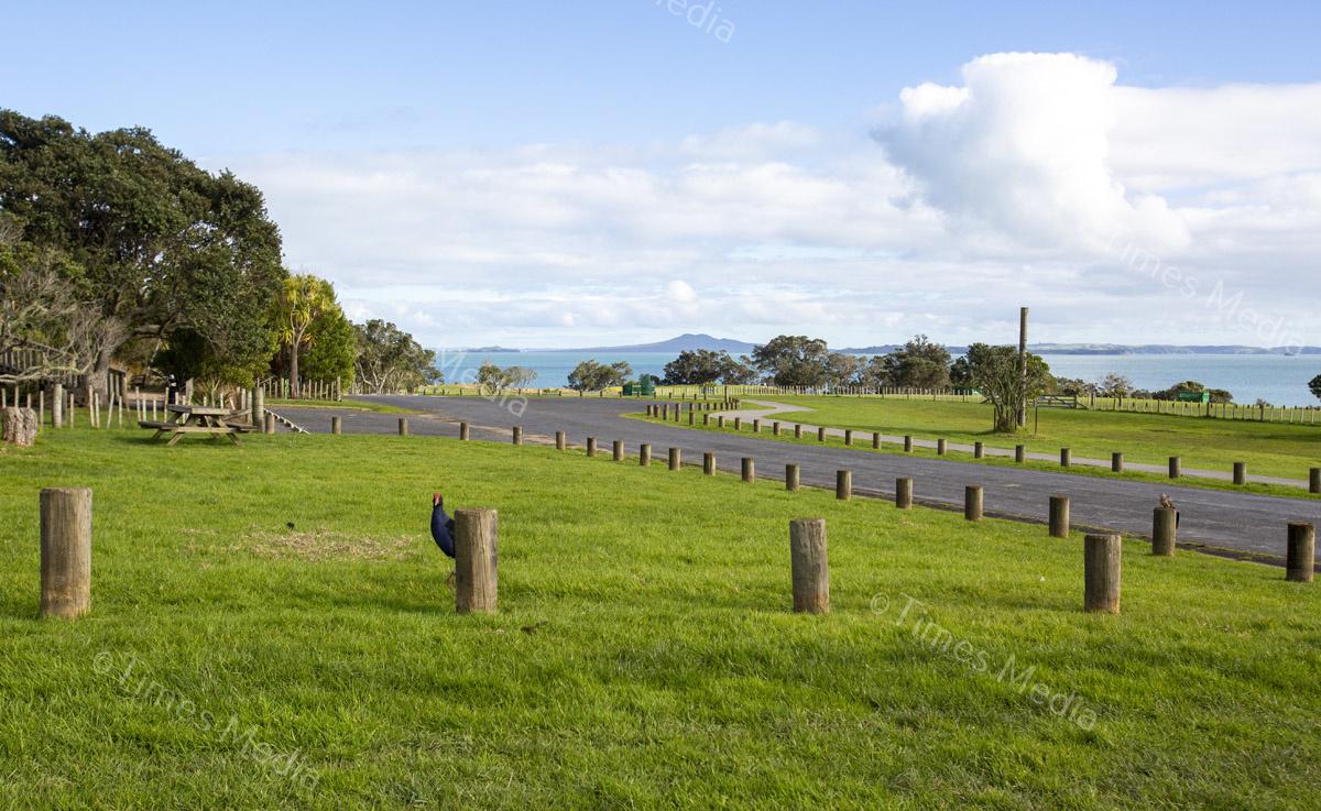 # Covid 19 # Delta # Lockdown #Beachlands #Omana