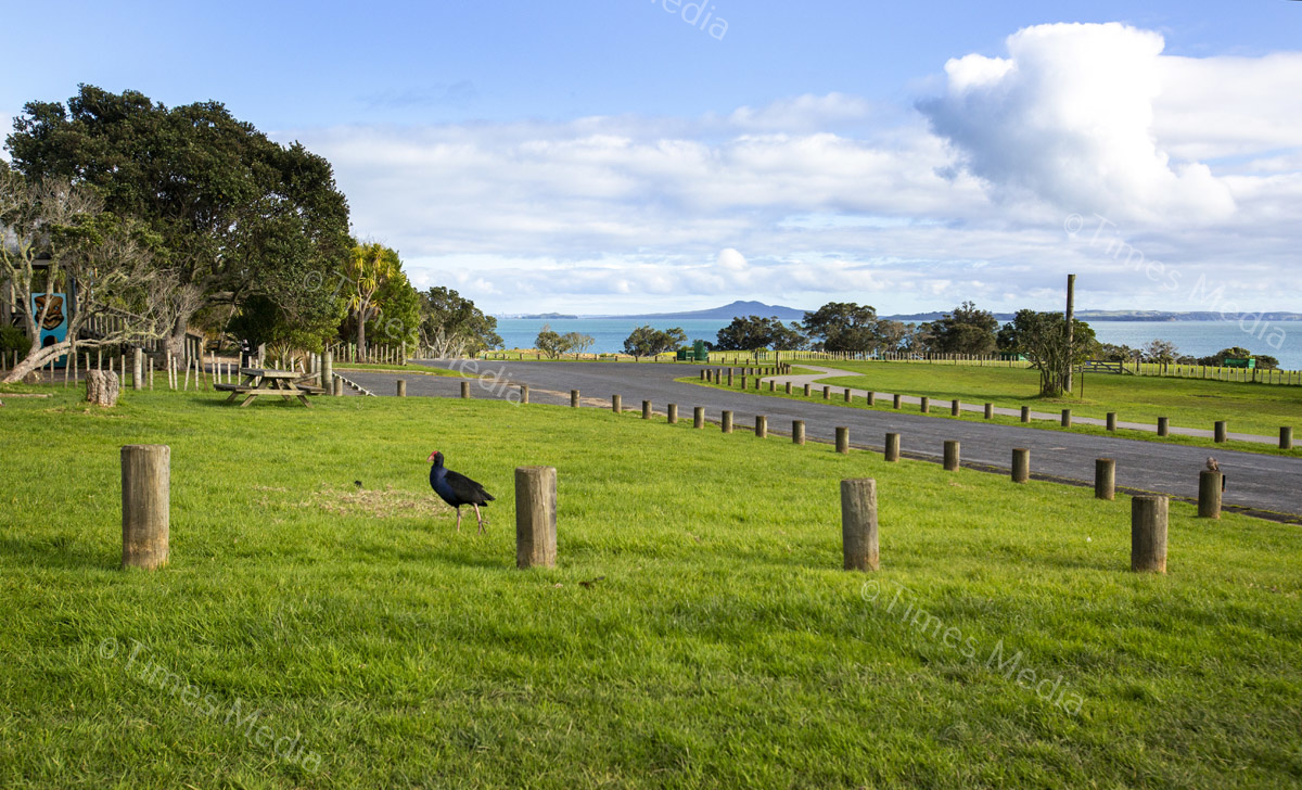 # Covid 19 # Delta # Lockdown #Beachlands #Omana