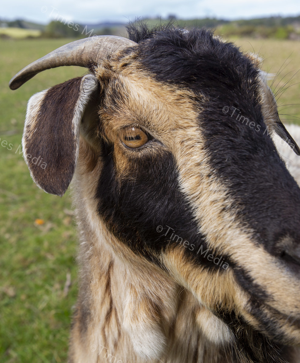 # Covid 19 # Delta # Lockdown #Beachlands #Omana