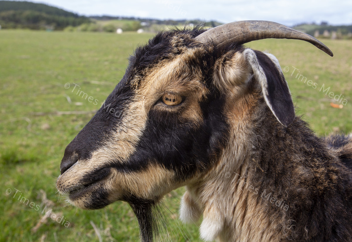 # Covid 19 # Delta # Lockdown #Beachlands #Omana