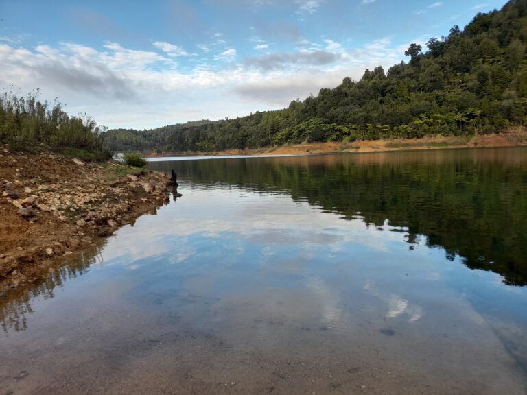Rainfall bolsters dam levels