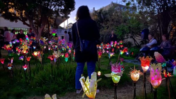 Artweek Auckland dates confirmed