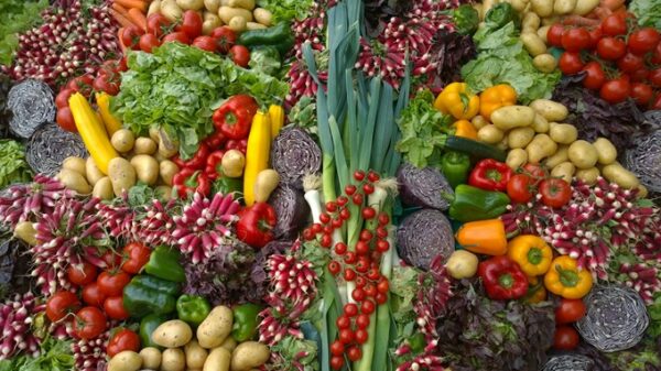 Zero waste innovators get funding boost