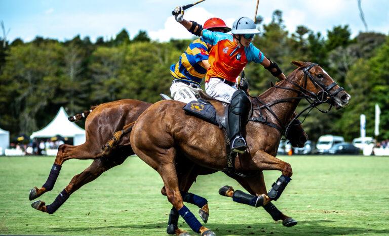 BMW NZ Polo Open called off