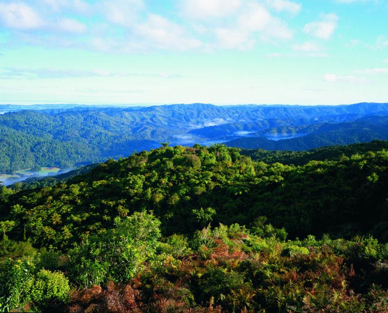 First stage of Hunua pest control operation underway