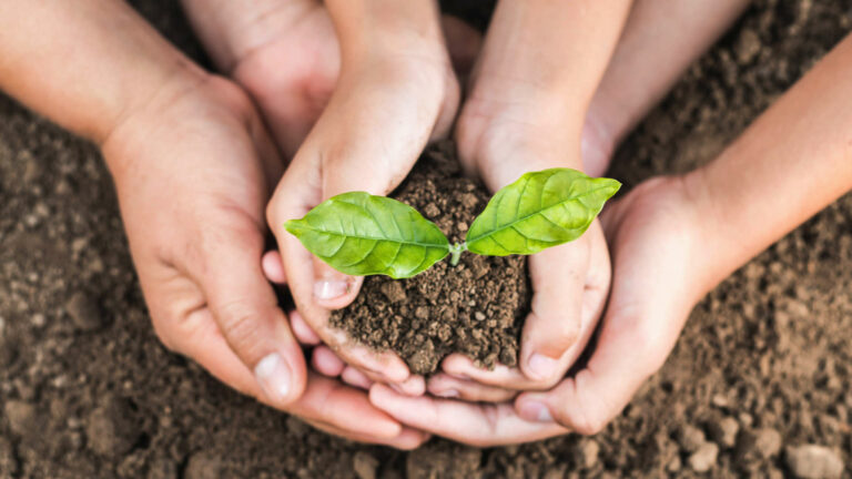 NZ joins world’s largest sustainable schools programme