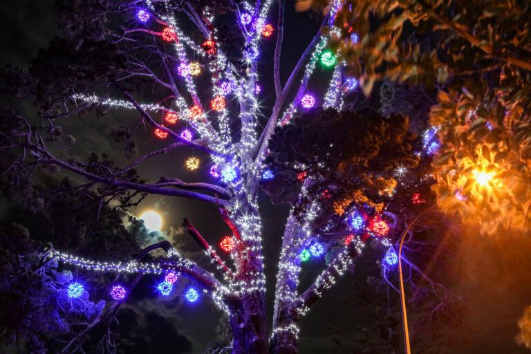 Stockade Hill Christmas Lights